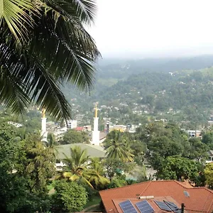 https://tamarind-tree-inn-kandy.negombohotels.net